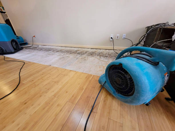 Professional Structural Drying technician working in Hartstown, PA